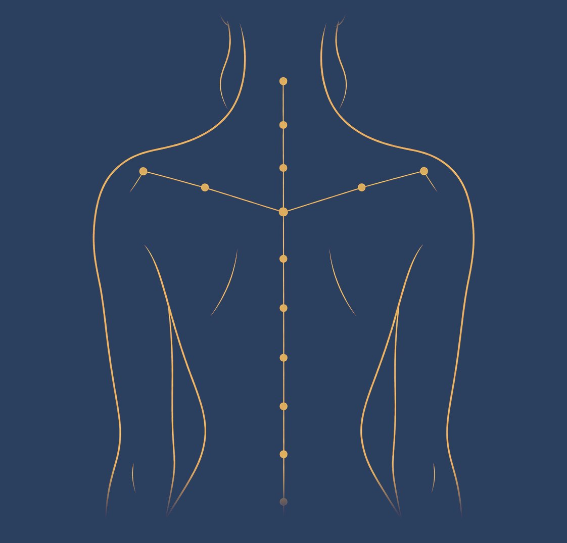 Un dos dessiné d'un trait d'or sur bleu ardoise. Le long de la colonne et des épaules, des points reliés comme une constellation.